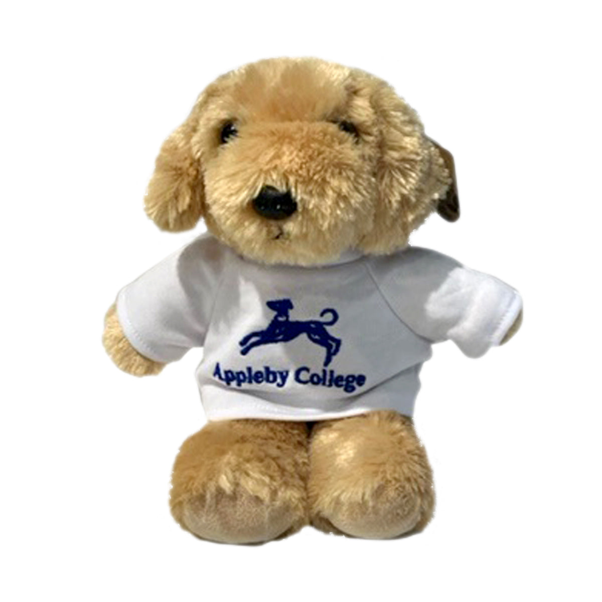 Plush Dog – Appleby College Shop