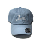 Light Blue Hat
