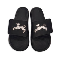 Appleby Slides