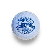 Appleby Branded Golf Balls