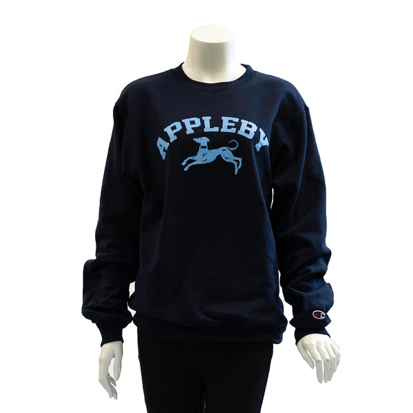 Youth store champion crewneck