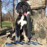 Appleby Dog Leash