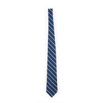 Double Blue Tie